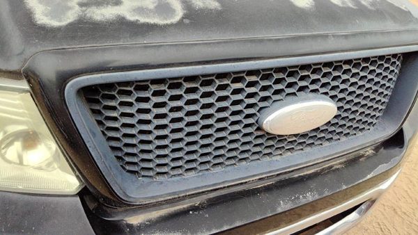 2004-2007 Ford F150 Front Grille Assembly Oem Black Ua 4L3Z8200Captm — photo 2
