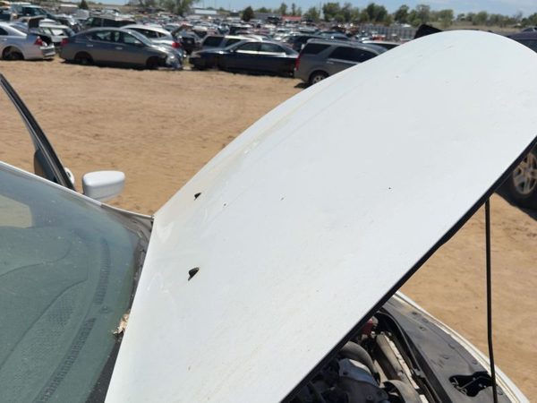 2013 Dodge Dart Hood White PW7 — photo 2