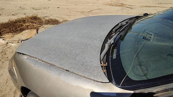 2003 Chevrolet Cavalier Hood Gold 49U — photo 3