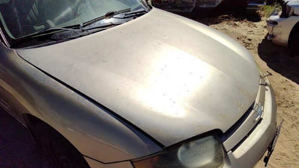 2003 Chevrolet Cavalier Hood Gold 49U — photo 1