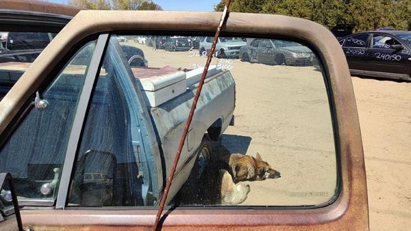 1978-1993 Dodge Ram W150 Driver Left Front Side Window Door Glass Oem 4160617 — photo 2