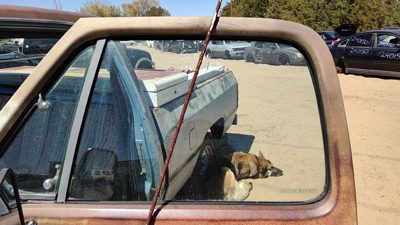 1978-1993 Dodge Ram W150 Driver Left Front Side Window Door Glass Oem 4160617