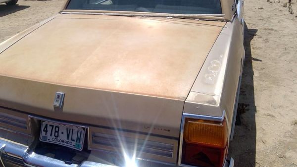 1985 Oldsmobile Delta 88 Trunk/decklid/hatch/tailgate Gold — photo 8