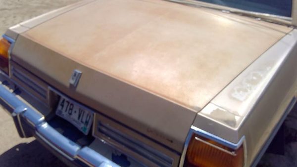1985 Oldsmobile Delta 88 Trunk/decklid/hatch/tailgate Gold — photo 2