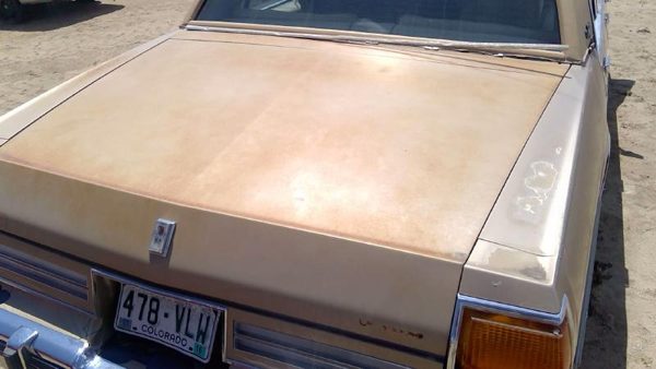1985 Oldsmobile Delta 88 Trunk/decklid/hatch/tailgate Gold — photo 5