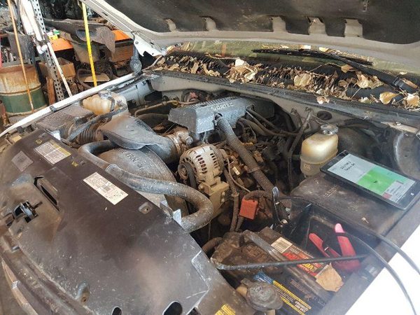 2000 Chevy Silverado 1500 Carrier/differential Assembly 12/99 5.3L Catod — photo 2