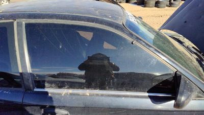 1996-2000 Honda Civic Passenger Right Front Side Window Door Glass Coupe Oem