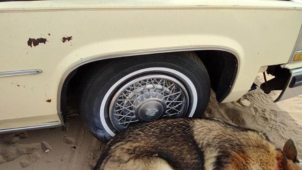1980 Cadillac Deville Passenger Right Front Wheel Flare Moulding Oem Chrome Trim — photo 2