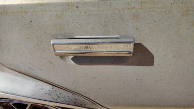 1982 Oldsmobile Firenza Passenger Right Rear Outside Door Handle Oem Back