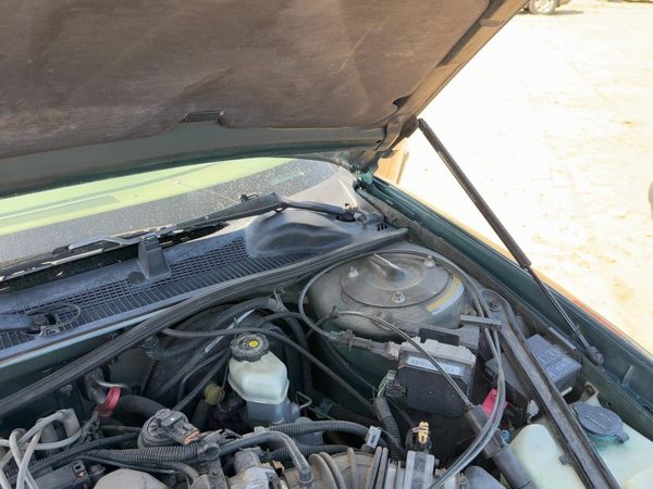 1999 Chevy Lumina Pair of Hood Hinges Right Left Set Jasper Green 56U 88952184 — photo 2