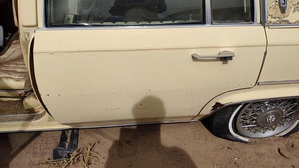 1980 Cadillac Fleetwood Rear Door LH — photo 3