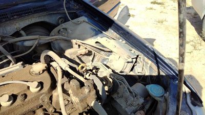 98 99 Honda Accord Cruise Control Servo Assembly Module With Cable Oem 2.3L Vtec