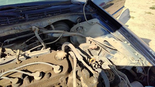 98 99 Honda Accord Cruise Control Servo Assembly Module With Cable Oem 2.3L Vtec — photo 3