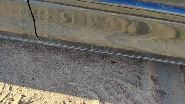 00-04 Intrepid Passenger Right Front Lower Rocker Panel Moulding Side Skirt — photo 6