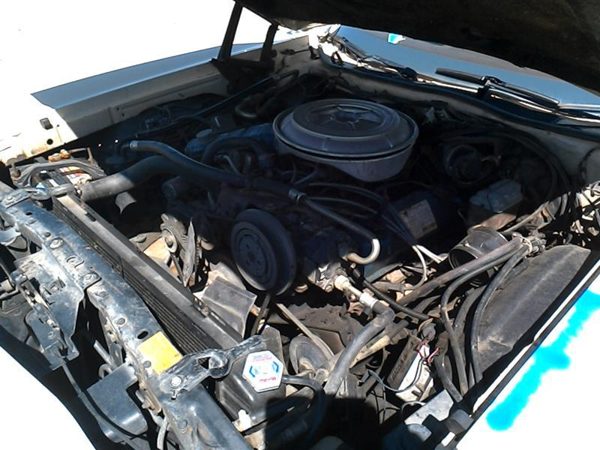 1977 Ford Thunderbird — vehicle photo 2