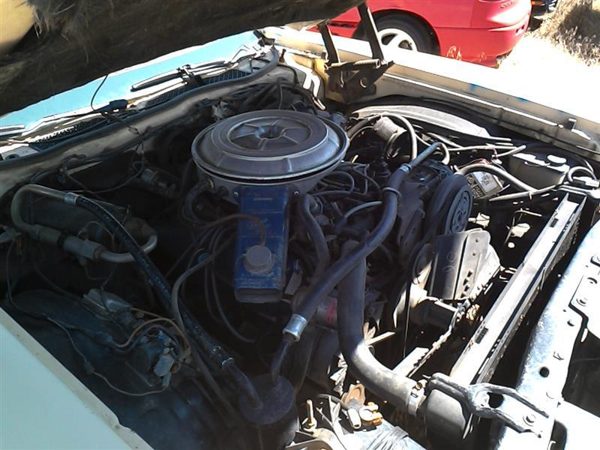 1977 Ford Thunderbird — vehicle photo 8