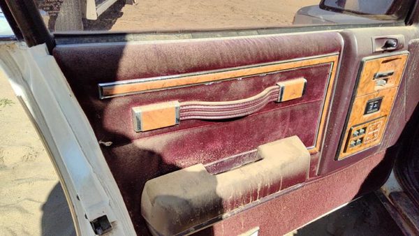 1989 Buick Century Driver Left Front Inside Door Trim Panel Only Oem Red — photo 5