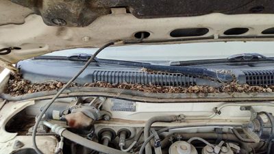 1991-1995 Infinity G20 Passenger Right Windshield Wiper Arm Oem Blade Lever