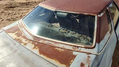 1975 Olds Cutlass Back Glass/window db04864gt