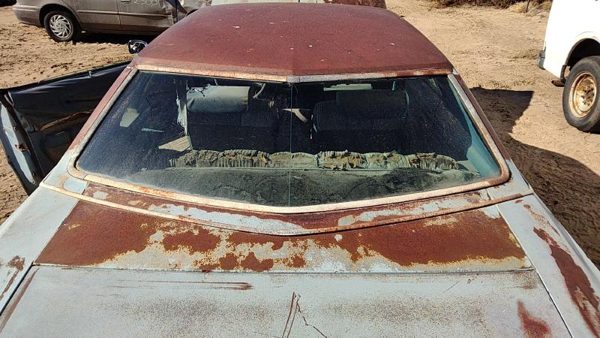 1975 Olds Cutlass Back Glass/window db04864gt — photo 5