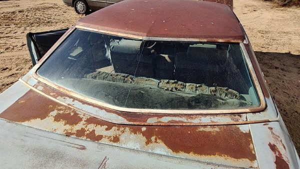 1975 Olds Cutlass Back Glass/window db04864gt — photo 4