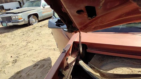 1985-1987 Pontiac Sunbird Pair Of Hood Hinges Right Left Set Assembly Oem — photo 2