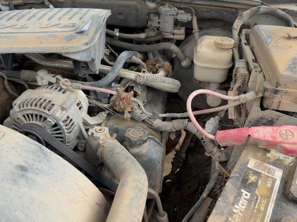 2005-2011 Dodge Dakota Driver Left Cylinder Head Assembly Oem 3.7L 53021941Aa — photo 1