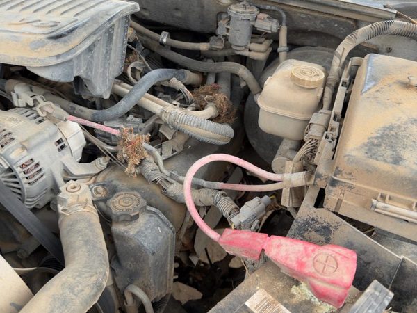 2005-2011 Dodge Dakota Driver Left Cylinder Head Assembly Oem 3.7L 53021941Aa — photo 4