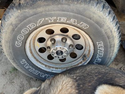 1993-1997 Isuzu Rodeo 15" Steel Wheel Oem Factory Rim #4 4403671