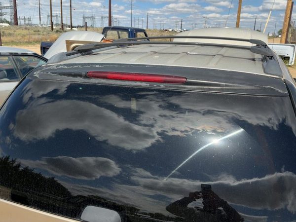 2004-2007 Buick Rainier Rear Spoiler Back Wing Oem — photo 1