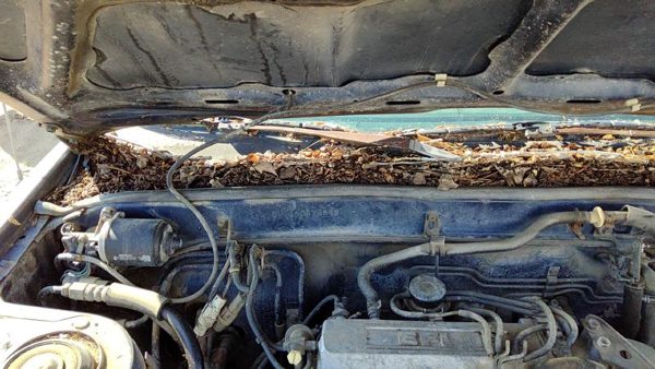 84-86 Toyota Camry Passenger Right Windshield Wiper Arm Oem Blade Lever — photo 2