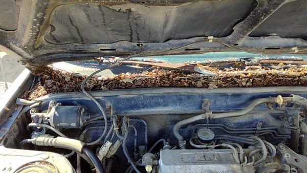 84-86 Toyota Camry Passenger Right Windshield Wiper Arm Oem Blade Lever — photo 4