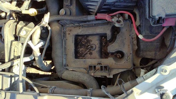 2004-2007 Ford Freestar Complete Battery Box Mount Tray With Hold Down Oem 3.9L — photo 1