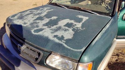 2000 Honda Passport Hood Hgm Huntsman Green
