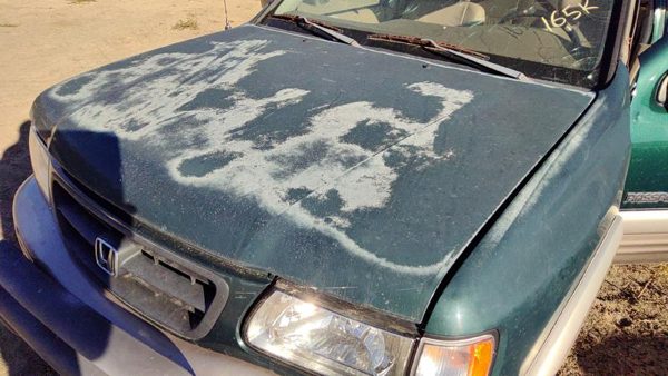 2000 Honda Passport Hood Hgm Huntsman Green — photo 1