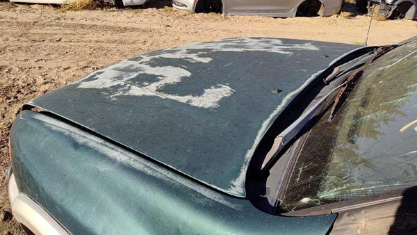 2000 Honda Passport Hood Hgm Huntsman Green — photo 4