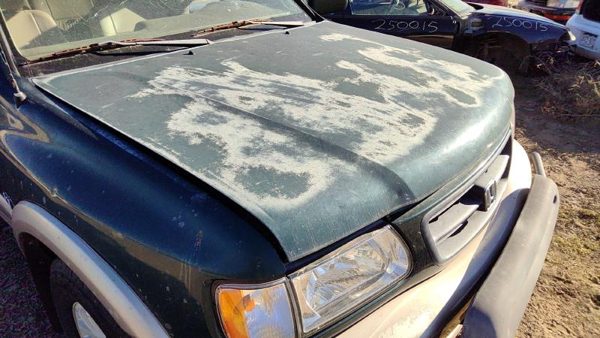 2000 Honda Passport Hood Hgm Huntsman Green — photo 2