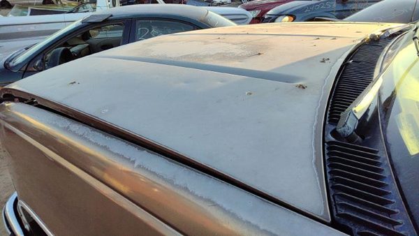 1994 Suburban 1500 Hood Brown Hail — photo 4
