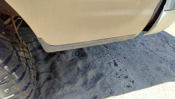 2000-2002 Ford Expedition Driver Left Rear Moulding On Quarter Panel Oem — photo 3