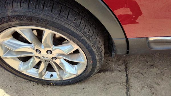 11-19 Ford Explorer Passenger Right Rear Wheel Flare Moulding Oem Back — photo 5