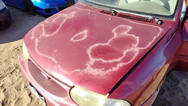 1997 Ford Aspire Hood E5 Red F4BZ16612A — photo 1
