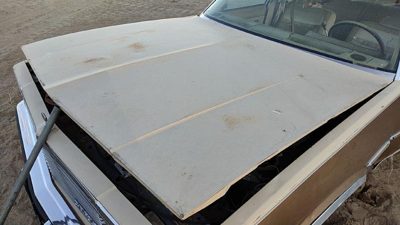 1981 Chevrolet Malibu Hood Tan Hail 14003725