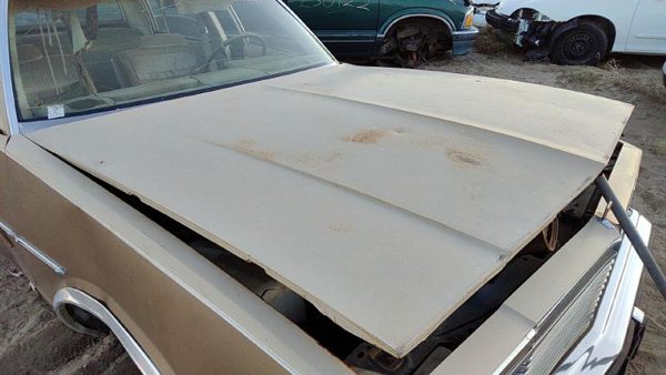 1981 Chevrolet Malibu Hood Tan Hail 14003725 — photo 3