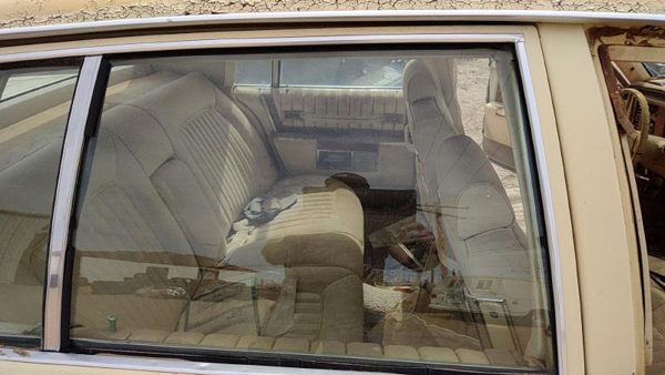 1980-1984 Cadillac Deville Passenger Right Rear Side Window Door Glass Oem Back — photo 3