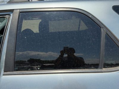 2001-2006 Acura Mdx Driver Left Rear Side Window Door Glass Oem Back 73450S3Va00