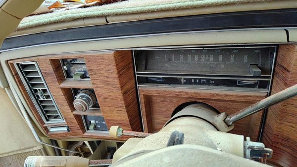 1980-1984 Cadillac Deville Trim Bezel Around Speedometer Oem Dash Surround Panel — photo 5