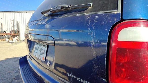2001 Dodge Caravan Trunk/decklid/hatch/tailgate Blue — photo 5