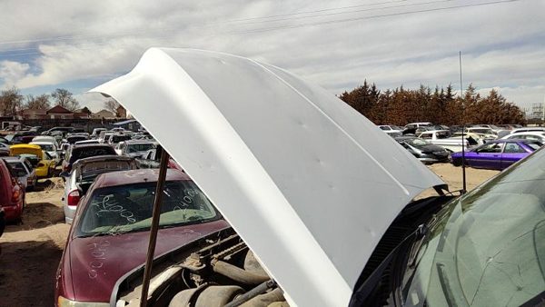 1999 Ford F250 Hood White — photo 1