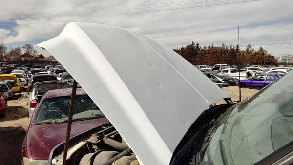 1999 Ford F250 Hood White — photo 3