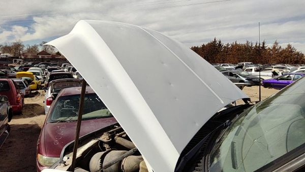 1999 Ford F250 Hood White — photo 4